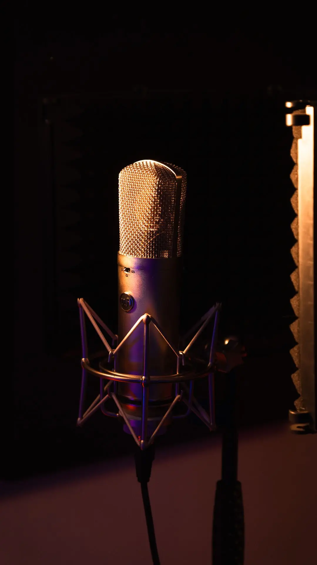 Микрофон WA-87 R2 (Neumann 87)